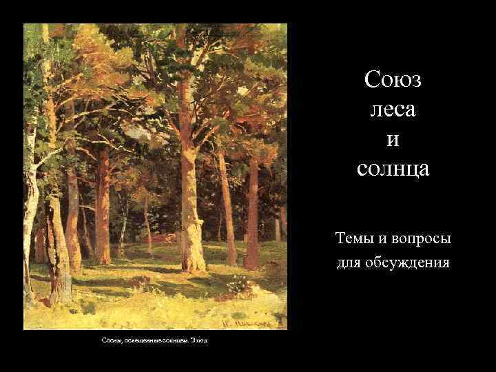 Союз леса и солнца Темы и вопросы для обсуждения Сосны, освещенные солнцем. Этюд 