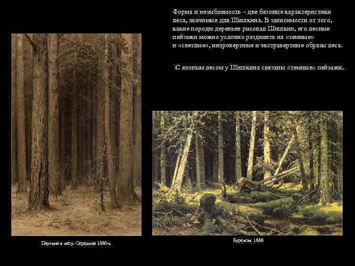 Форма и незыблемость – две базовые характеристики леса, значимые для Шишкина. В зависимости от