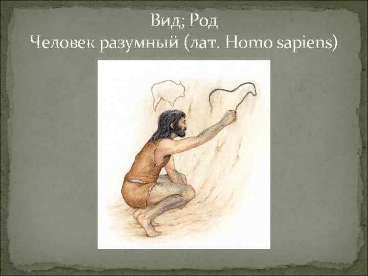 Вид; Род Человек разумный (лат. Homo sapiens) 