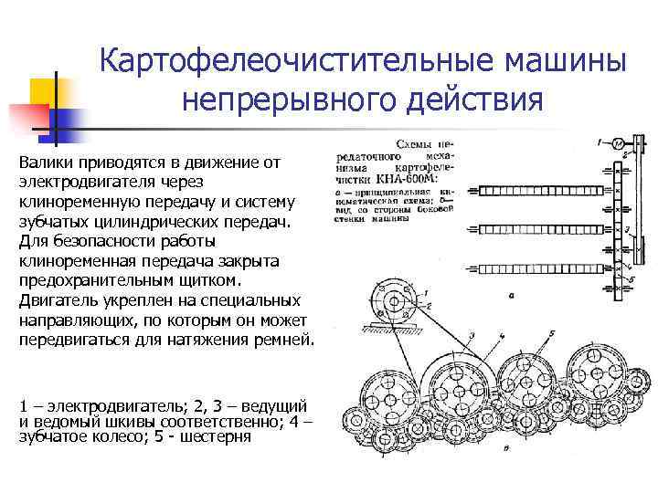 Картофелеочистительные машины непрерывного действия Валики приводятся в движение от электродвигателя через клиноременную передачу и