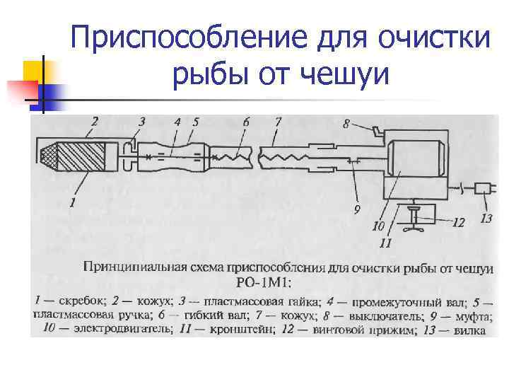 Приспособление для очистки рыбы от чешуи 