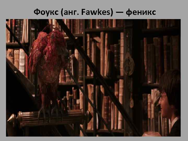 Фоукс (анг. Fawkes) — феникс • Фоукс (анг. Fawkes) — феникс, «домашнее животное» Альбуса