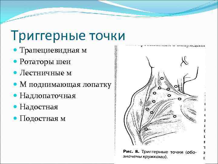 Карта триггерных точек на лице