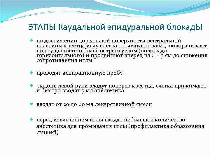 ЭТАПЫ Каудальной эпидуральной блокад. Ы по достижении дорсальной поверхности вентральной пластины крестца иглу слегка