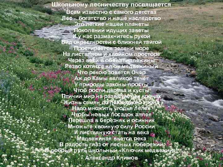 Школьному лесничеству посвящается Всем известно с самого детства Лес - богатство и наше наследство