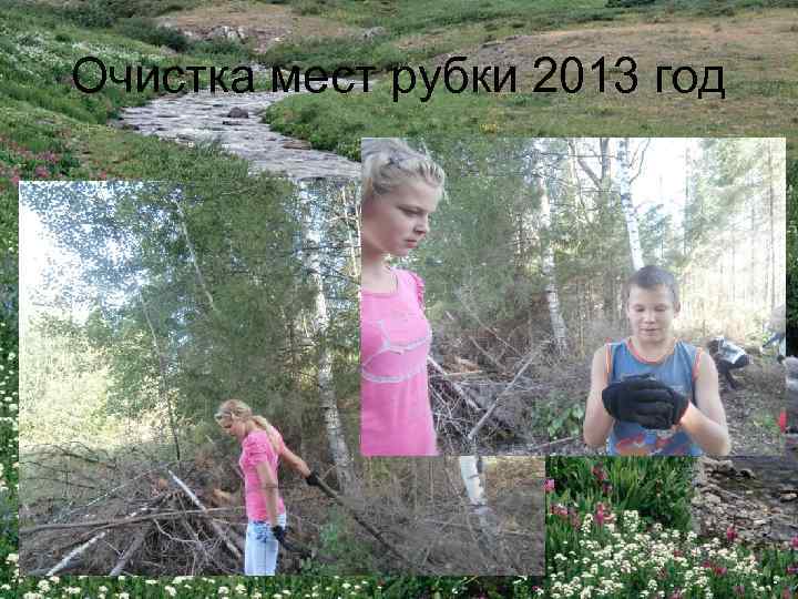 Очистка мест рубки 2013 год 