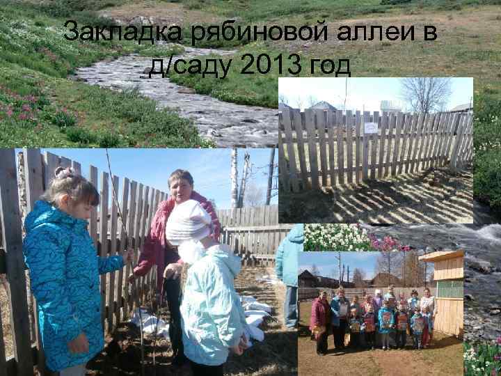 Закладка рябиновой аллеи в д/саду 2013 год 