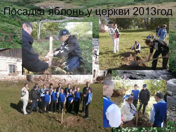 Посадка яблонь у церкви 2013 год 