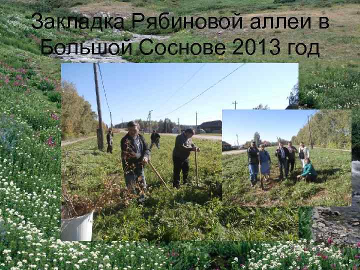 Закладка Рябиновой аллеи в Большой Соснове 2013 год 