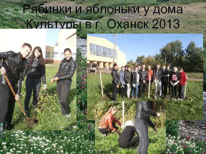 Рябинки и яблоньки у дома Культуры в г. Оханск 2013 