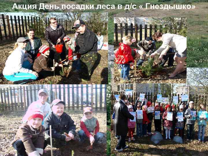 Акция День посадки леса в д/с « Гнездышко» 