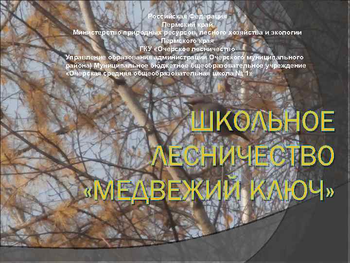 Российская Федерация Пермский край Министерство природных ресурсов, лесного хозяйства и экологии Пермского края ГКУ