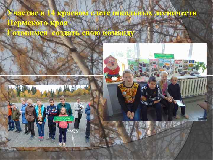Участие в 14 краевом слете школьных лесничеств Пермского края Готовимся создать свою команду 