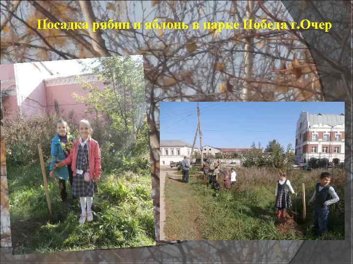 Посадка рябин и яблонь в парке Победа г. Очер 