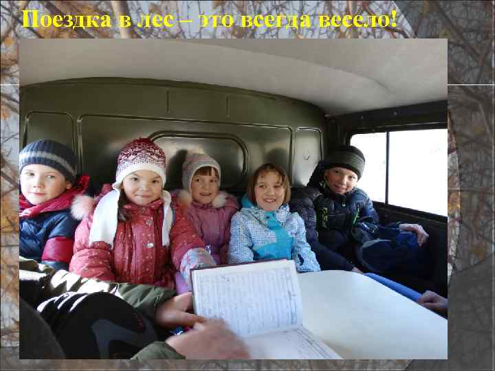 Поездка в лес – это всегда весело! 