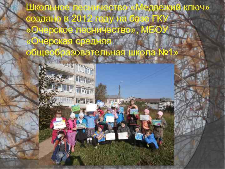  Школьное лесничество «Медвежий ключ» создано в 2012 году на базе ГКУ «Очерское лесничество»