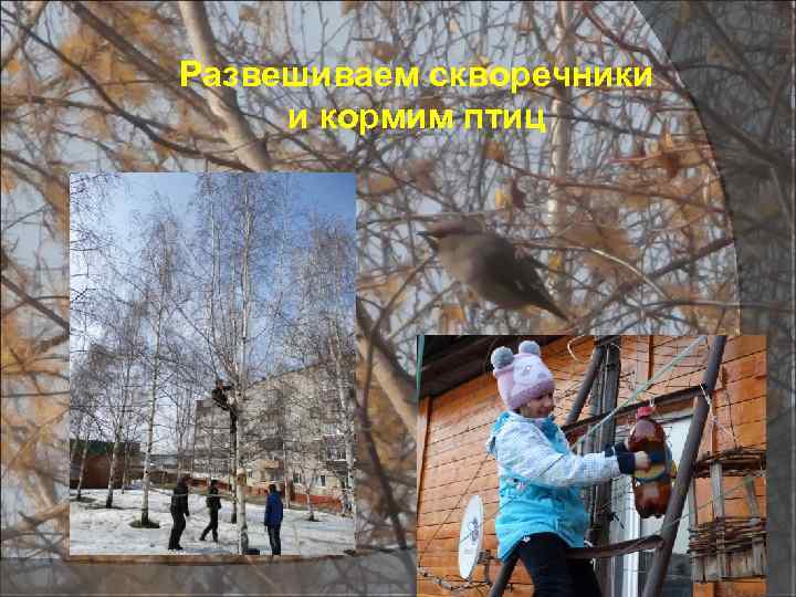 Развешиваем скворечники и кормим птиц 