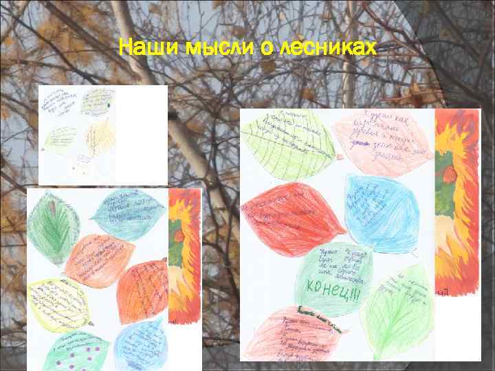 Наши мысли о лесниках 