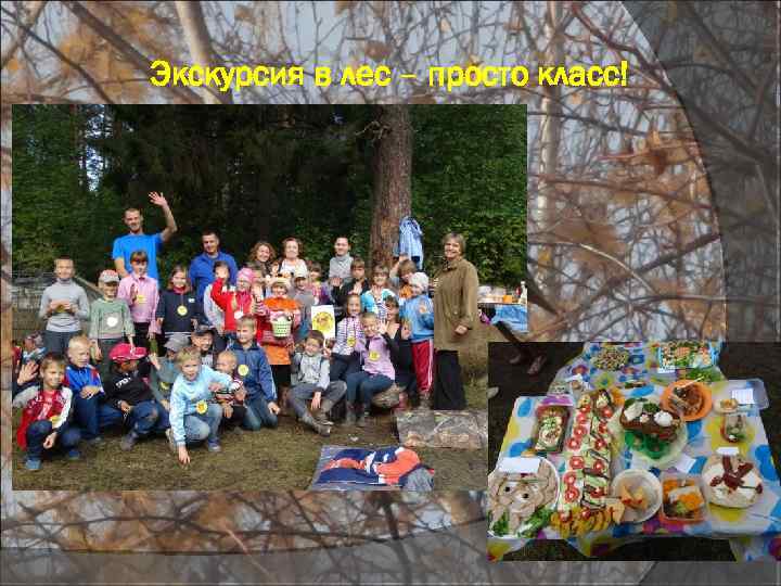 Экскурсия в лес – просто класс! 