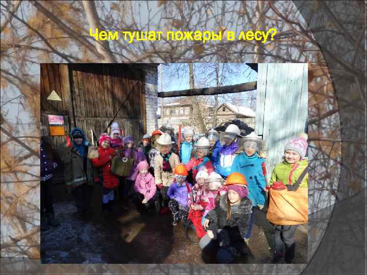 Чем тушат пожары в лесу? 