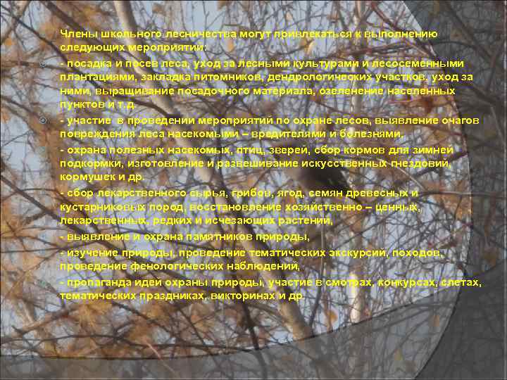  Члены школьного лесничества могут привлекаться к выполнению следующих мероприятий: - посадка и посев