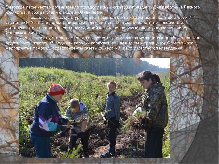 Очерское лесничество организовало посадку лесных культур к празднику Дня работника Лесного хозяйства, в соответствии