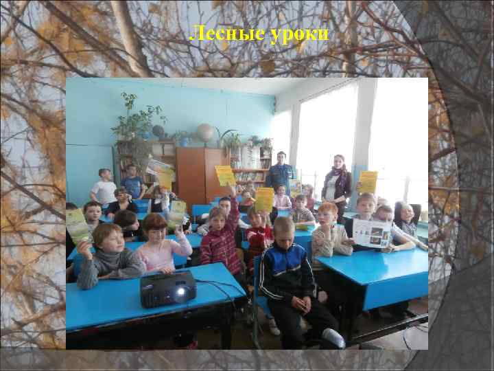 Лесные уроки 