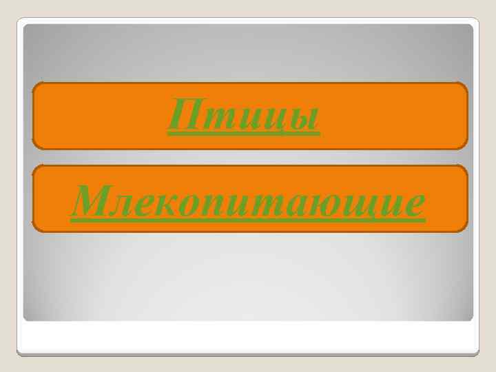   Птицы Млекопитающие 