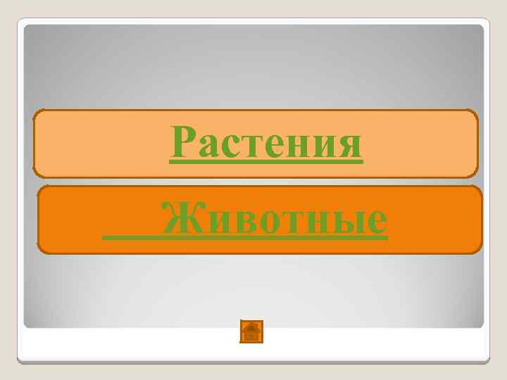 Растения   Животные 