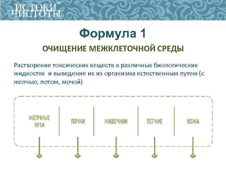 Формула 1 ОЧИЩЕНИЕ МЕЖКЛЕТОЧНОЙ СРЕДЫ Растворение токсических веществ в различных биологических жидкостях и выведение