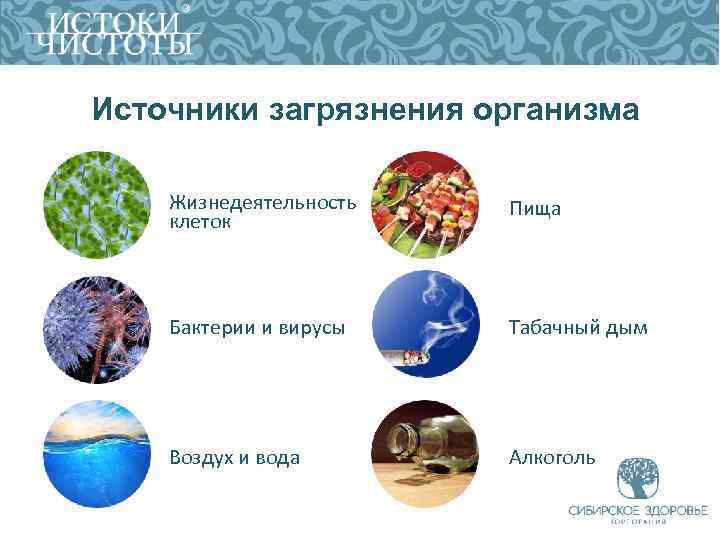 Источники загрязнения организма Жизнедеятельность клеток Пища Бактерии и вирусы Табачный дым Воздух и вода