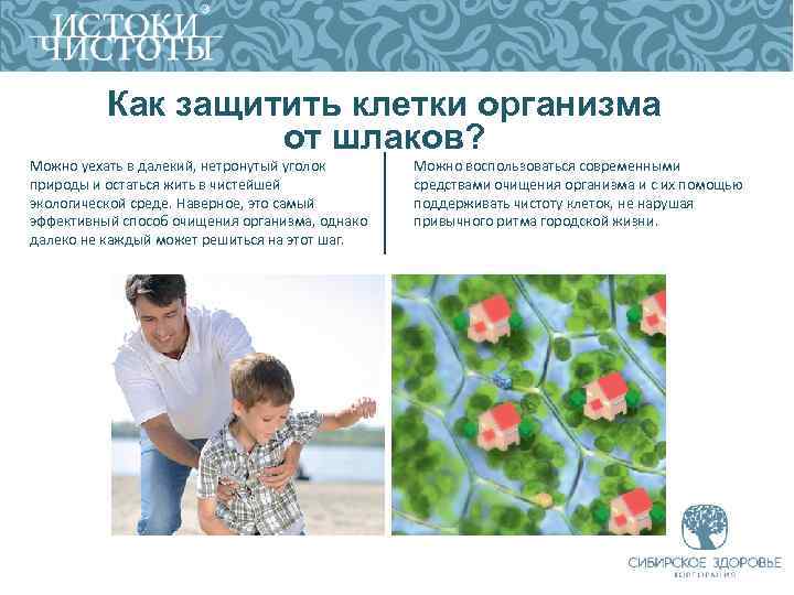 Как защитить клетки организма от шлаков? Можно уехать в далекий, нетронутый уголок природы и