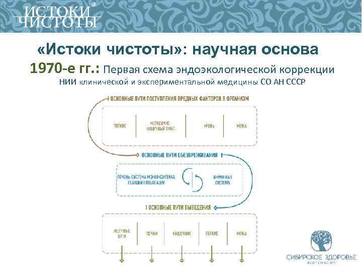  «Истоки чистоты» : научная основа 1970 -е гг. : Первая схема эндоэкологической коррекции