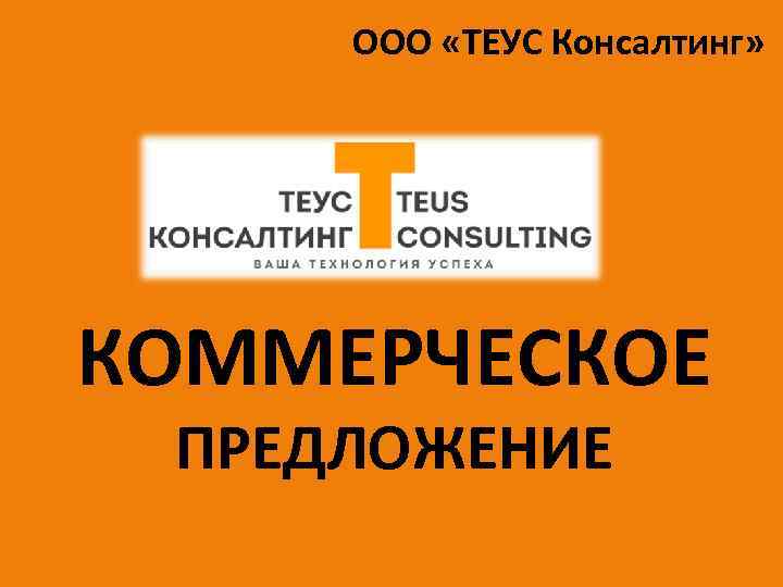 ООО «ТЕУС Консалтинг» КОММЕРЧЕСКОЕ ПРЕДЛОЖЕНИЕ 