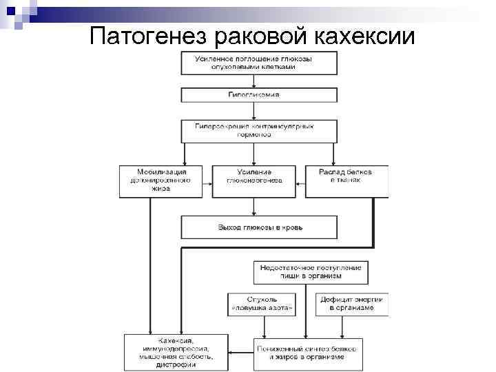 Схема патогенеза раковой кахексии патофизиология