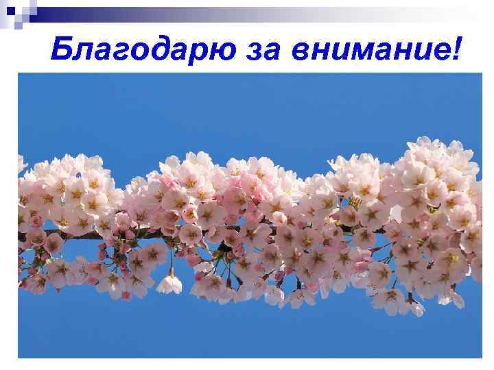 Благодарю за внимание! 