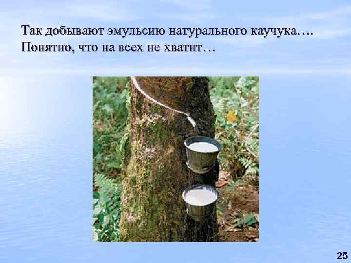 Так добывают эмульсию натурального каучука…. Понятно, что на всех не хватит… 25 