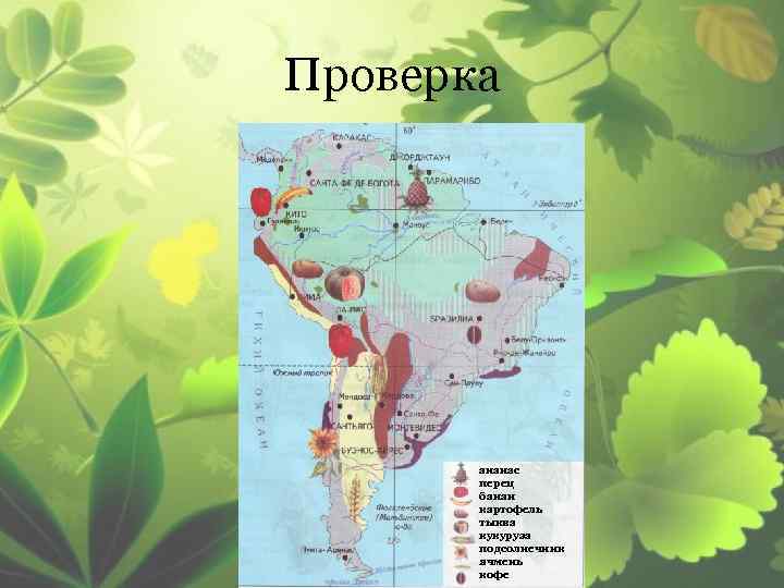 Проверка ананас перец банан картофель тыква кукуруза подсолнечник ячмень кофе 