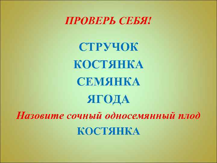 ПРОВЕРЬ СЕБЯ! СТРУЧОК КОСТЯНКА СЕМЯНКА ЯГОДА Назовите сочный односемянный плод КОСТЯНКА 