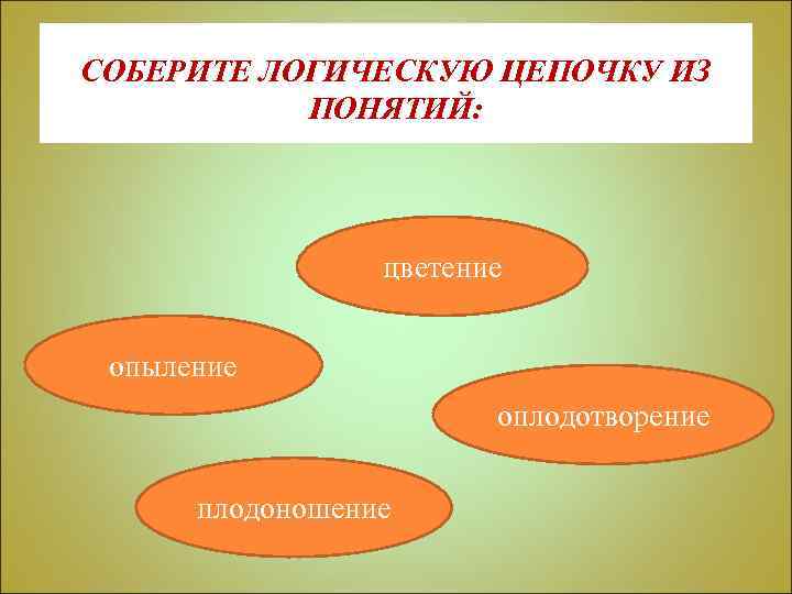 СОБЕРИТЕ ЛОГИЧЕСКУЮ ЦЕПОЧКУ ИЗ ПОНЯТИЙ: цветение опыление оплодотворение плодоношение 
