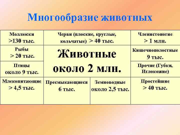 Многообразие животных Моллюски >130 тыс. Рыбы > 20 тыс. Птицы около 9 тыс. Черви