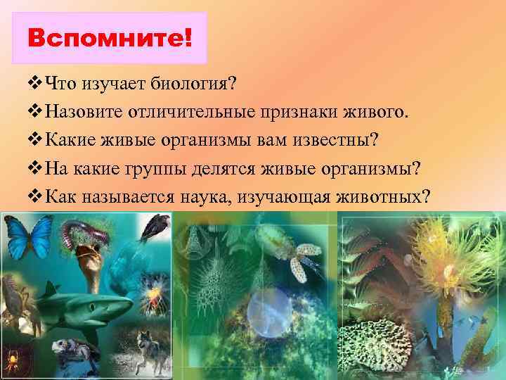 Вспомните! v Что изучает биология? v Назовите отличительные признаки живого. v Какие живые организмы