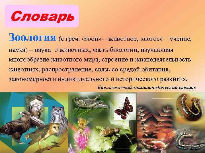 Словарь Зоология (с греч. «зоон» – животное, «логос» – учение, наука) – наука о