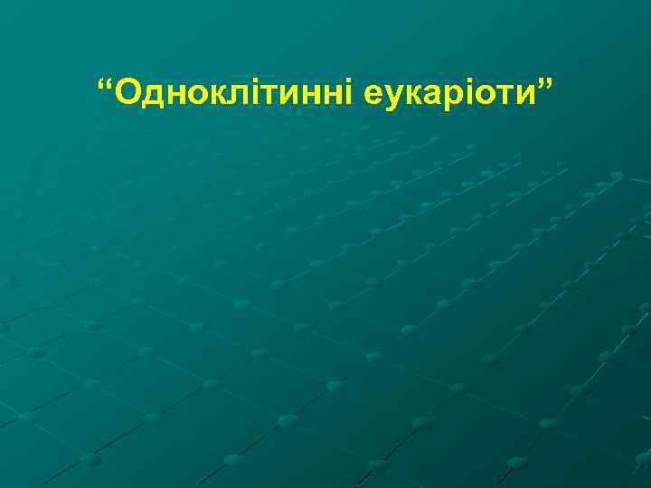 “Одноклітинні еукаріоти” 