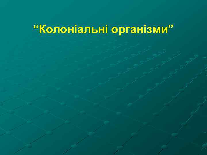 “Колоніальні організми” 
