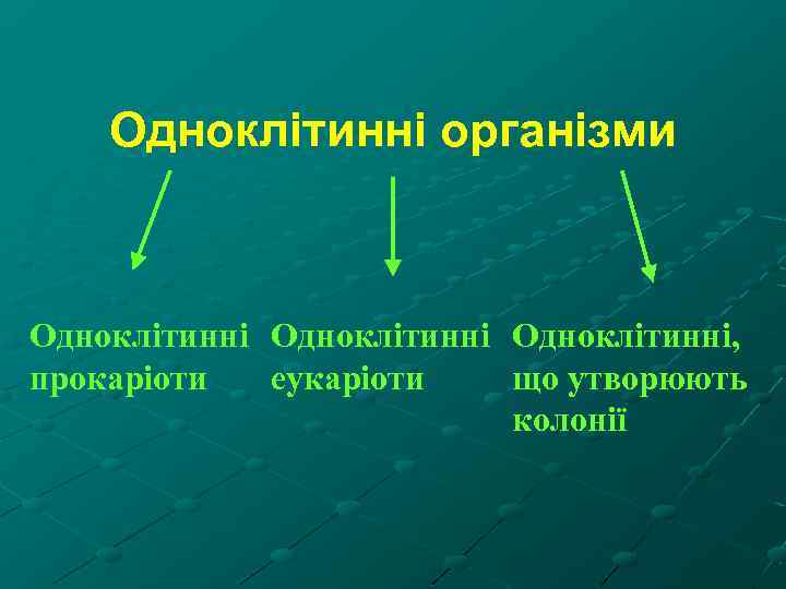 Одноклітинні організми Одноклітинні, прокаріоти еукаріоти що утворюють колонії 