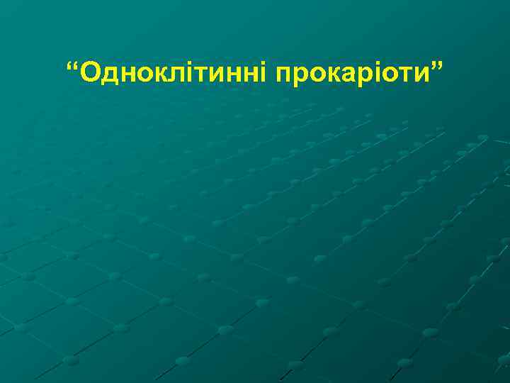 “Одноклітинні прокаріоти” 