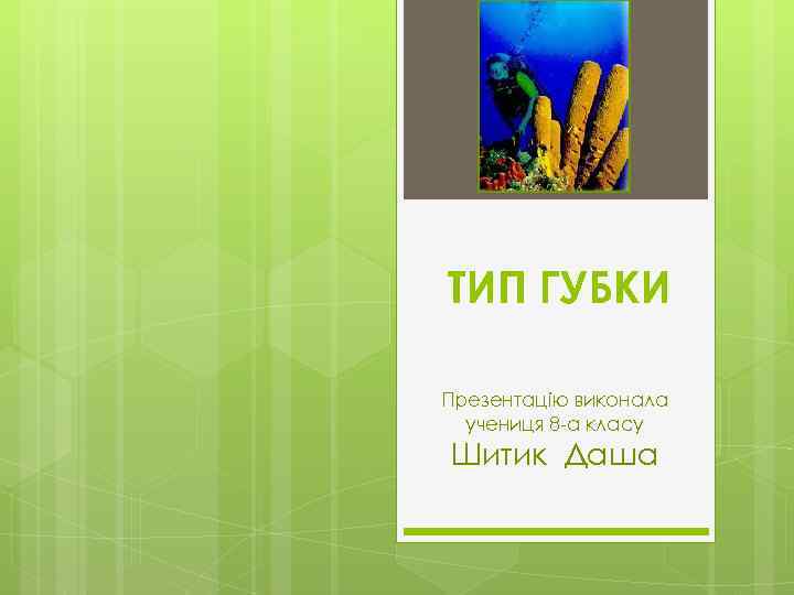 ТИП ГУБКИ Презентацію виконала учениця 8 -а класу Шитик Даша 