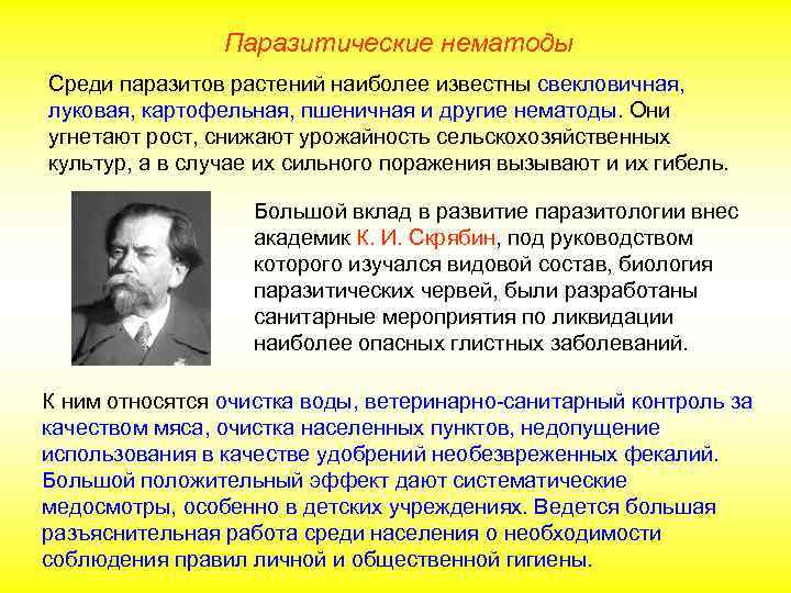 Паразитические нематоды Среди паразитов растений наиболее известны свекловичная, луковая, картофельная, пшеничная и другие нематоды.