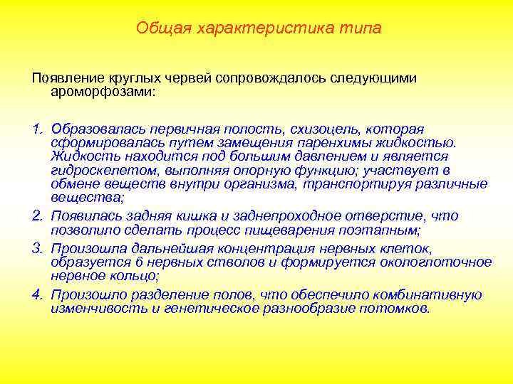 Общая характеристика типа Появление круглых червей сопровождалось следующими ароморфозами: 1. Образовалась первичная полость, схизоцель,